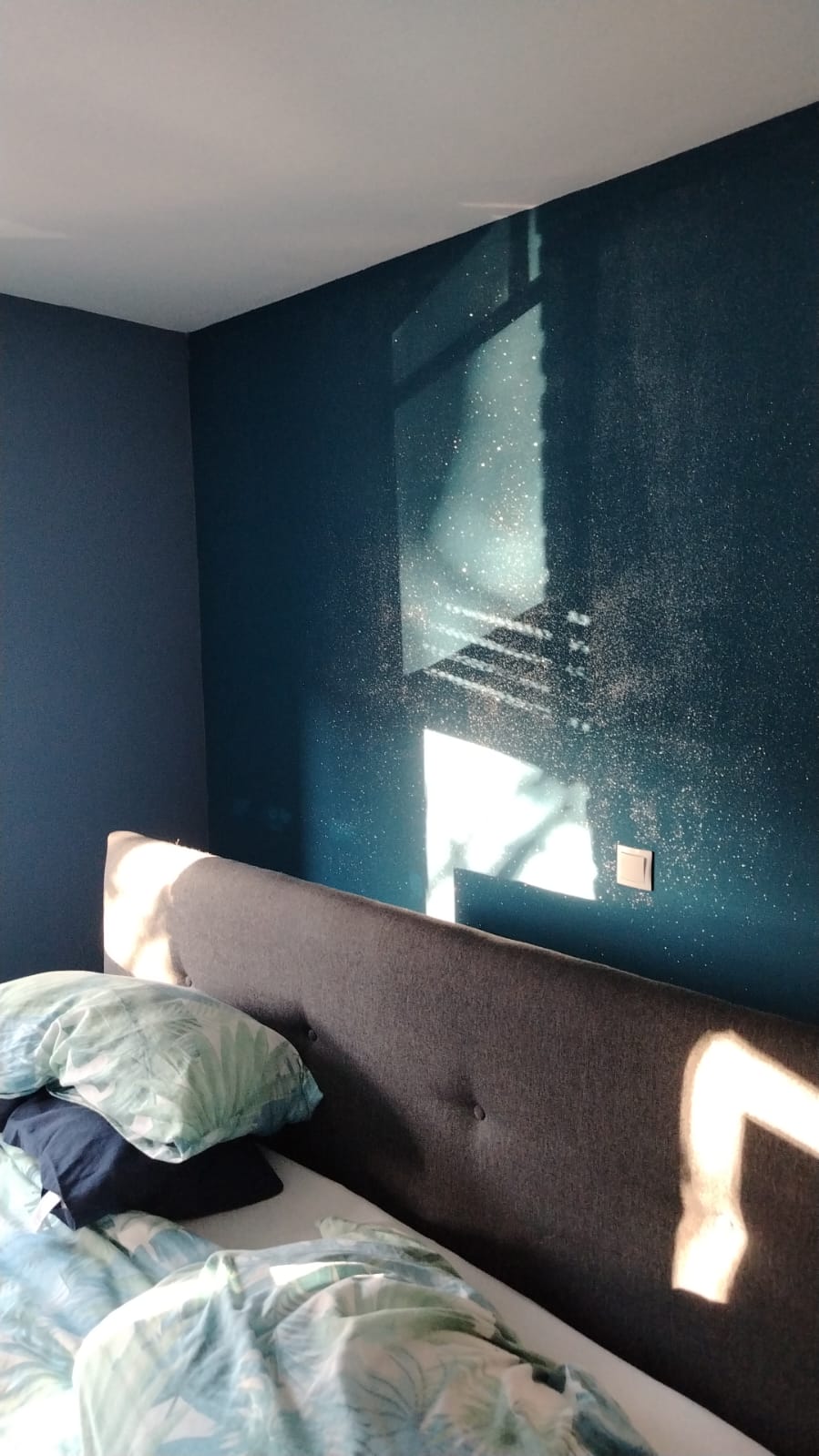 Velatura perlescente camera